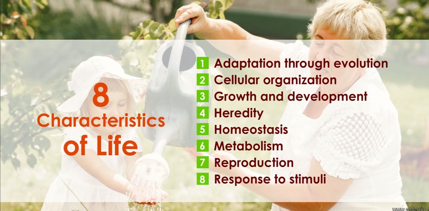 8 characteristics of living things