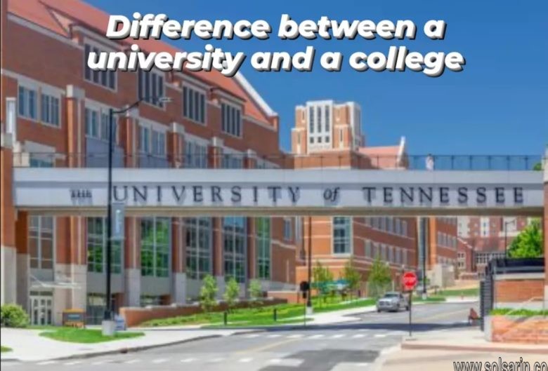 difference between a university and a college