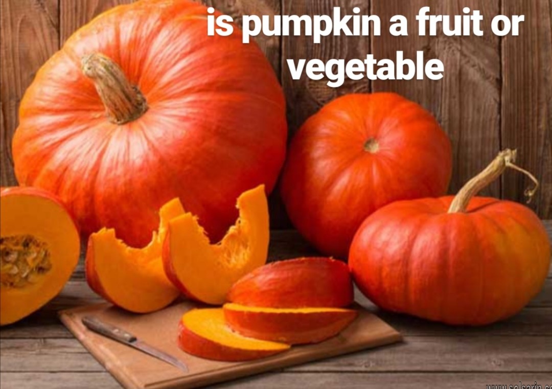 is pumpkin a fruit or vegetable