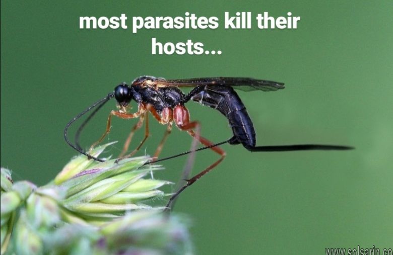 most parasites kill their hosts.