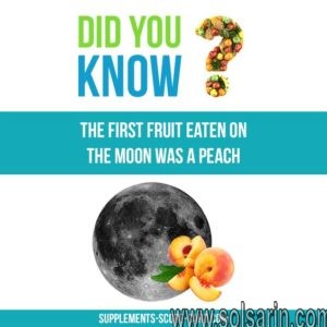which fruit was the first eaten on the moon