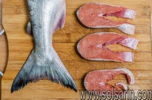 are there different kinds of salmon
