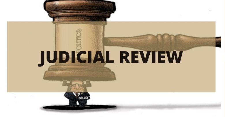 how do judicial reviews in the dissent differ