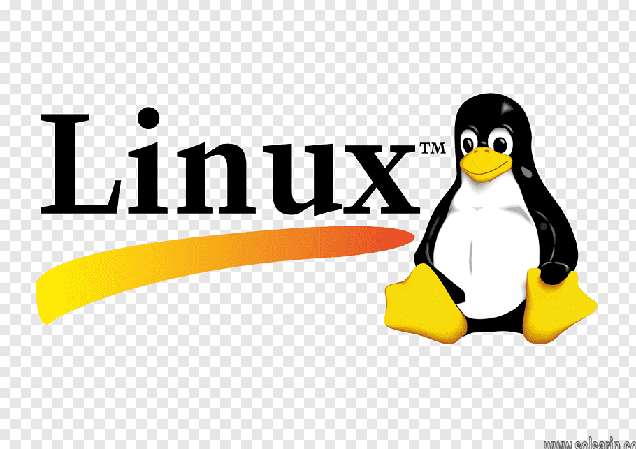 operating system with penguin logo