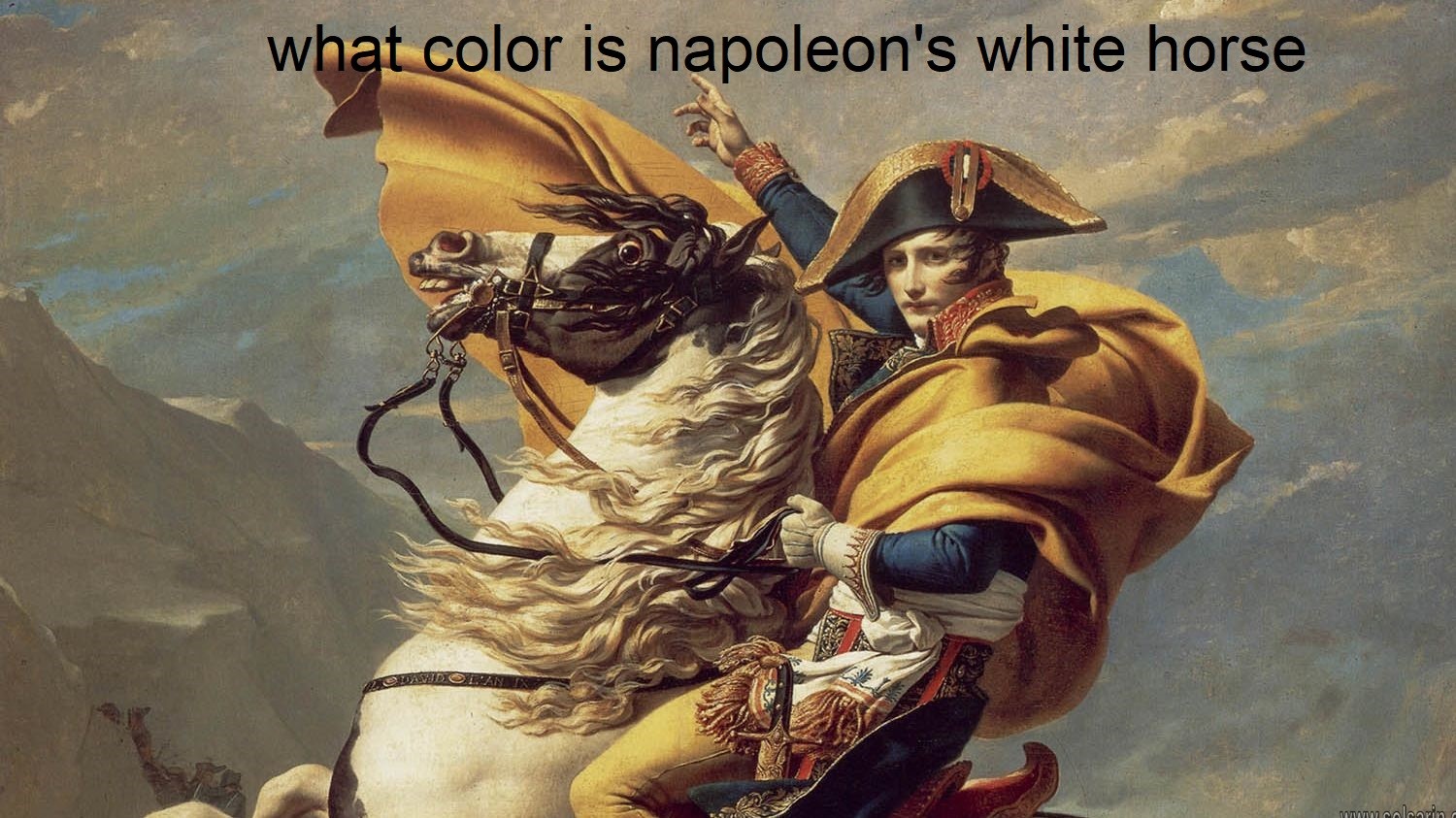 what color is napoleon's white horse
