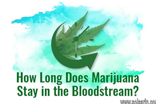 how long does marijuana stay in your blood