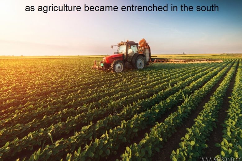as agriculture became entrenched in the south