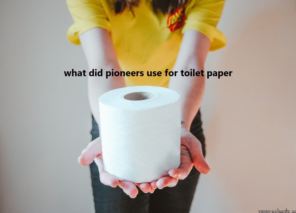 what did pioneers use for toilet paper