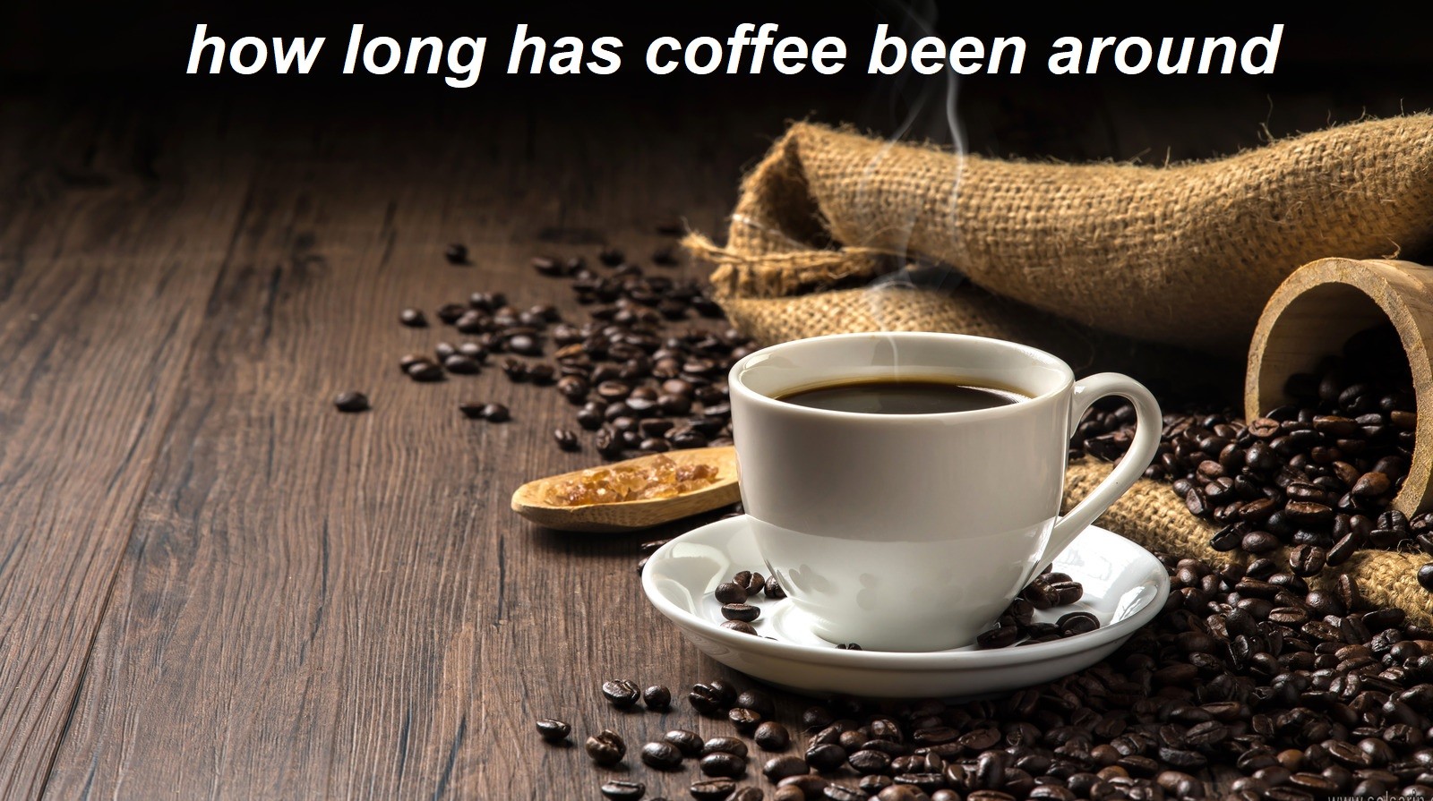 how long has coffee been around