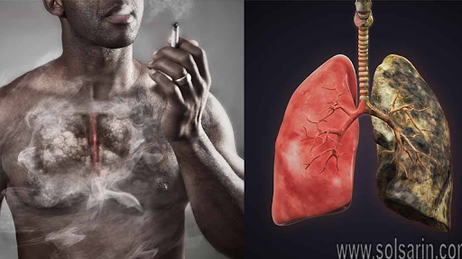 the human body has how many lungs