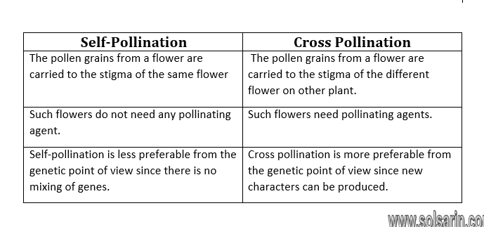 self pollination vs cross pollination