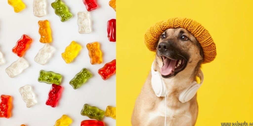 are gummy bears bad for dogs