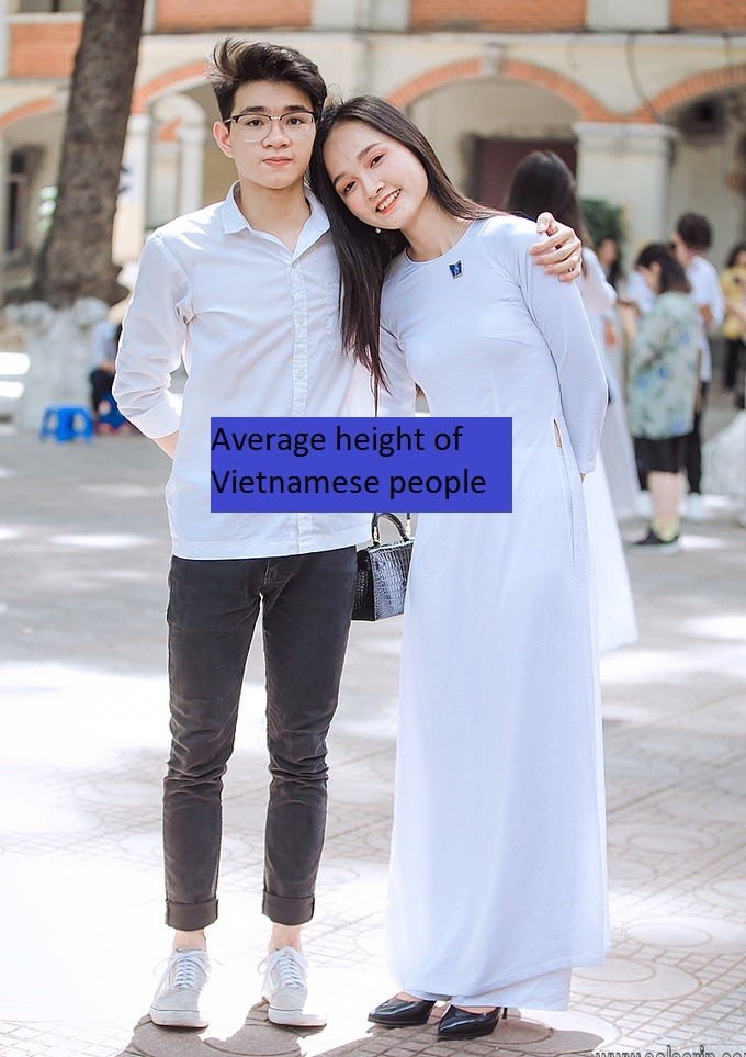 Average height of Vietnamese people