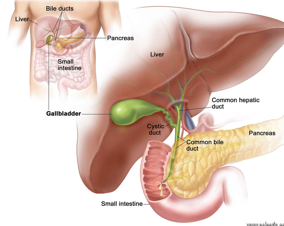 decompressed gallbladder