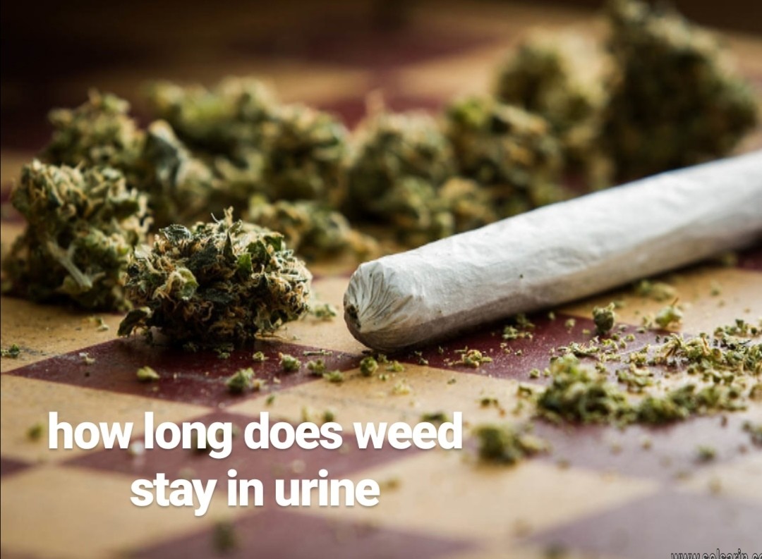 how long does weed stay in urine