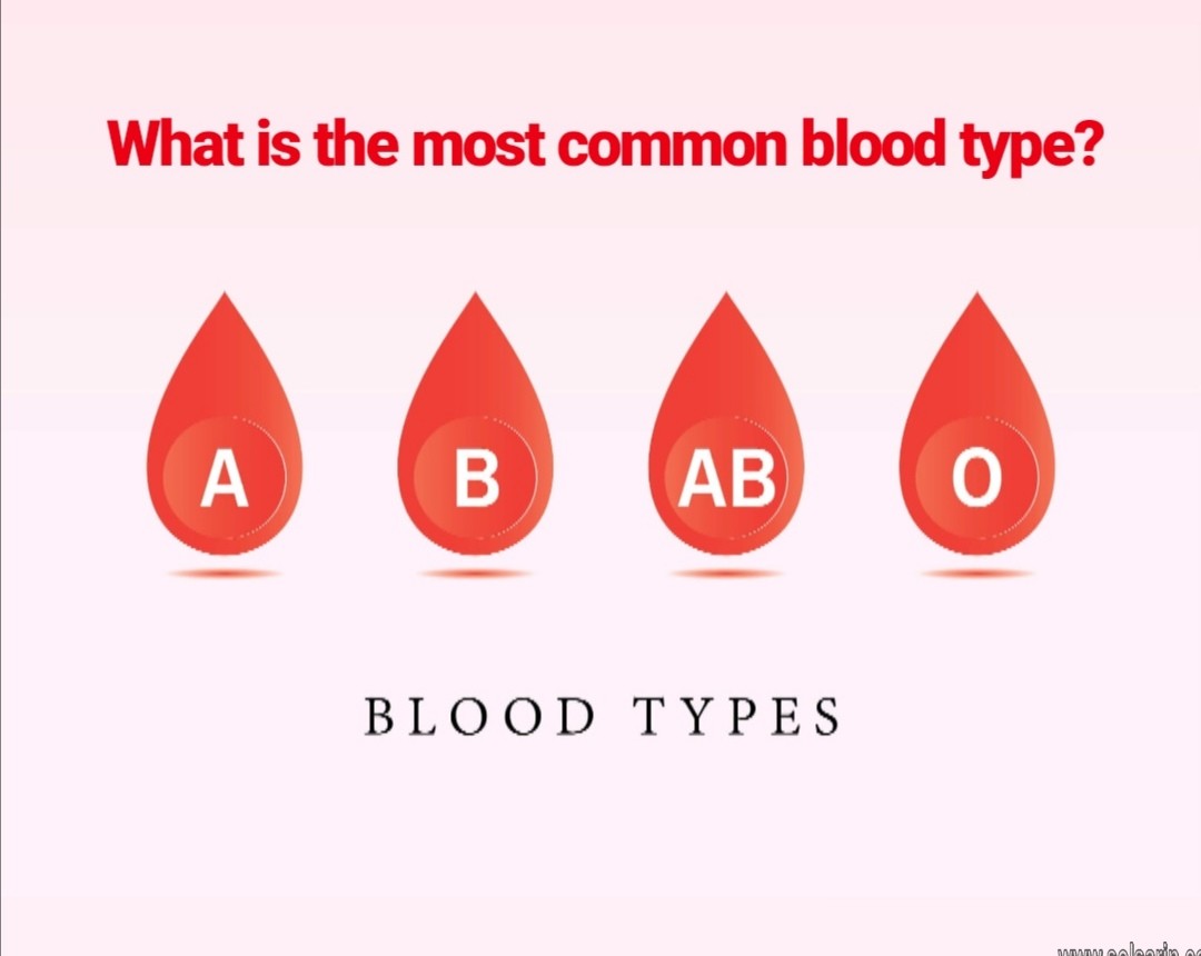 what is the most common blood type