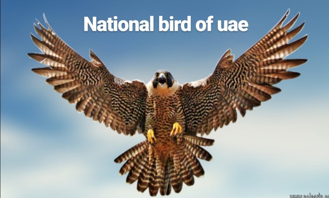 national bird of uae