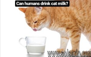 can humans drink cat milk