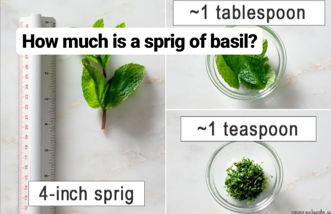 how much is a sprig of basil