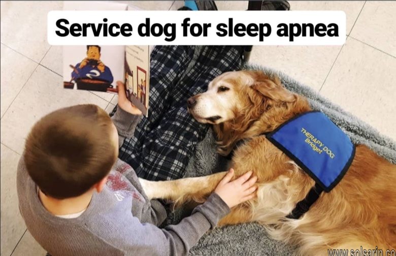 service dog for sleep apnea