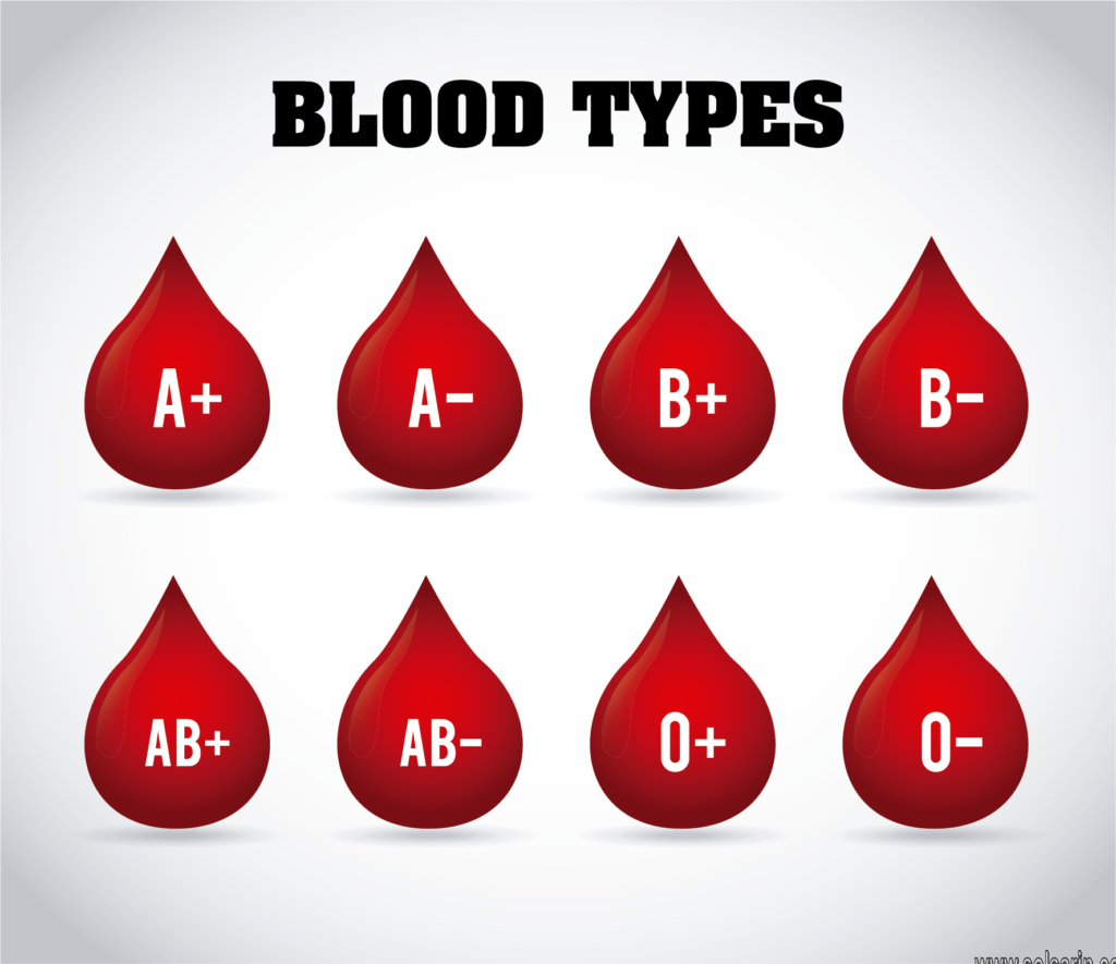 what is the most common blood type