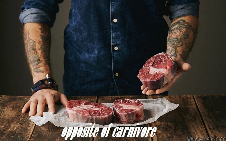 opposite of carnivore
