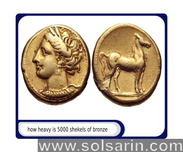 how heavy is 5000 shekels of bronze