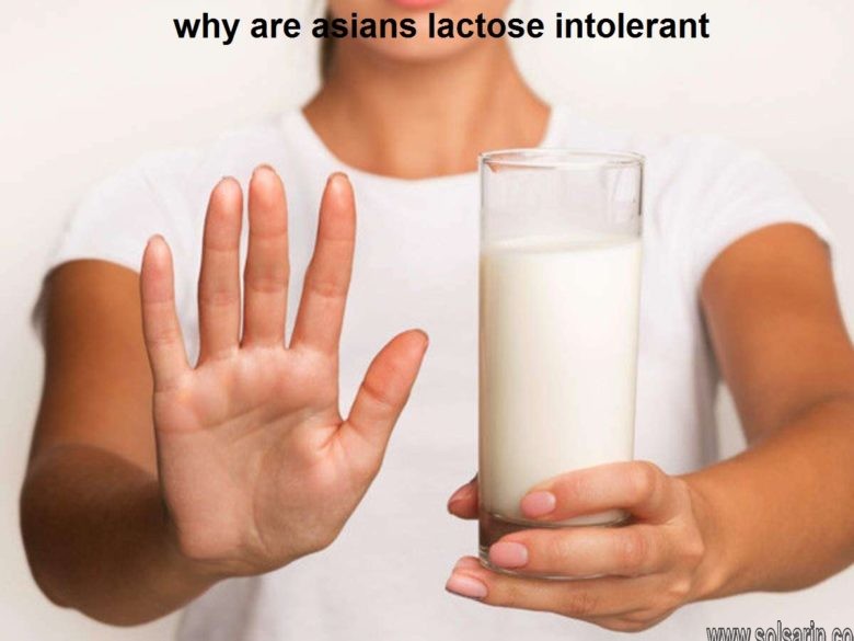 why are asians lactose intolerant