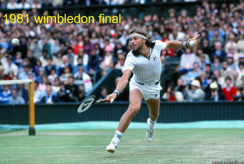 1981 wimbledon final