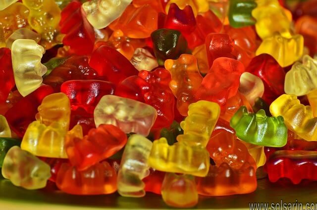 are gummy bears bad for dogs