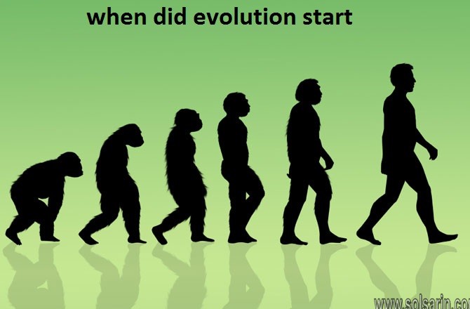 when did evolution start
