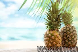 pineapple swinging sign