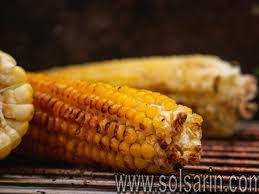 should dogs eat corn