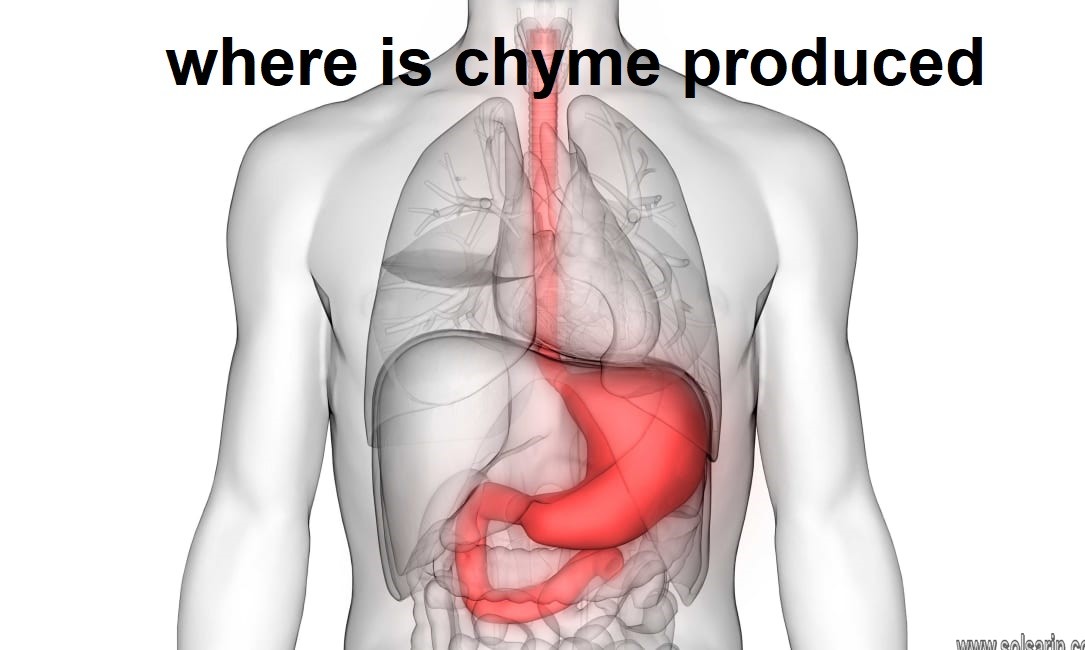 where is chyme produced