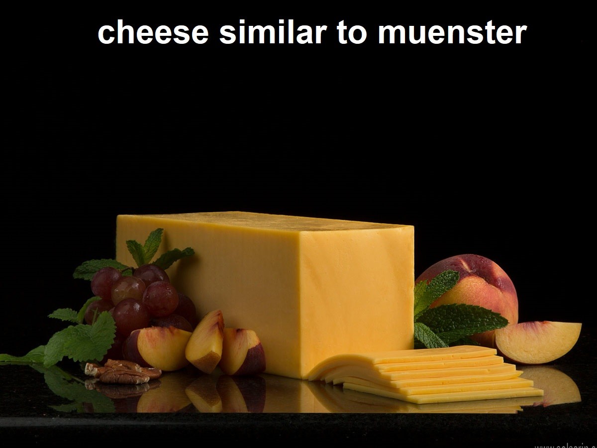 cheese similar to muenster