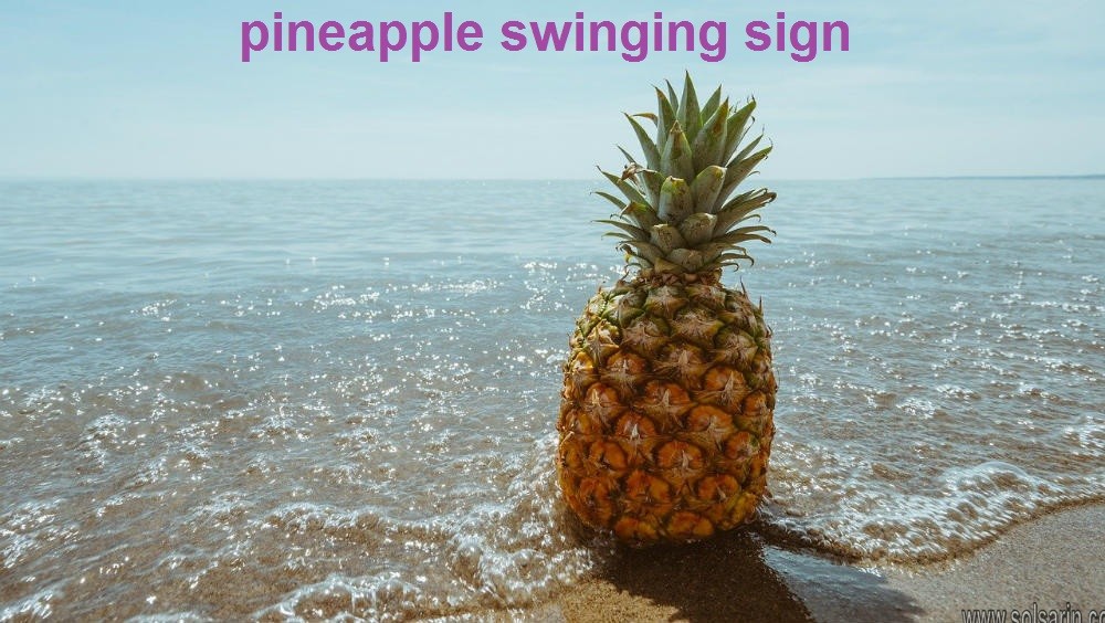 pineapple swinging sign