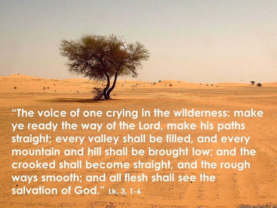 a voice crying in the wilderness