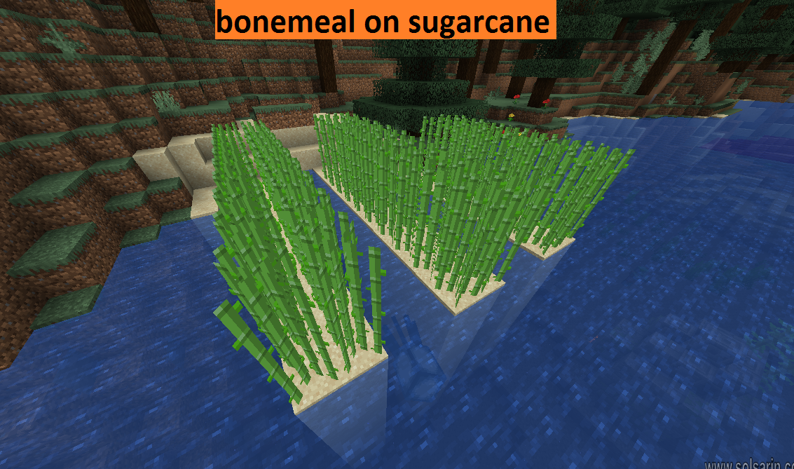 bonemeal on sugarcane