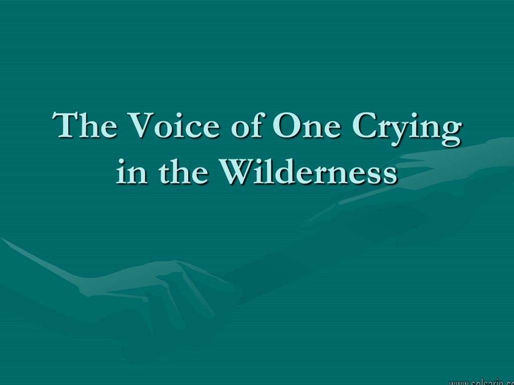 a voice crying in the wilderness