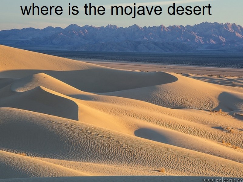 where is the mojave desert