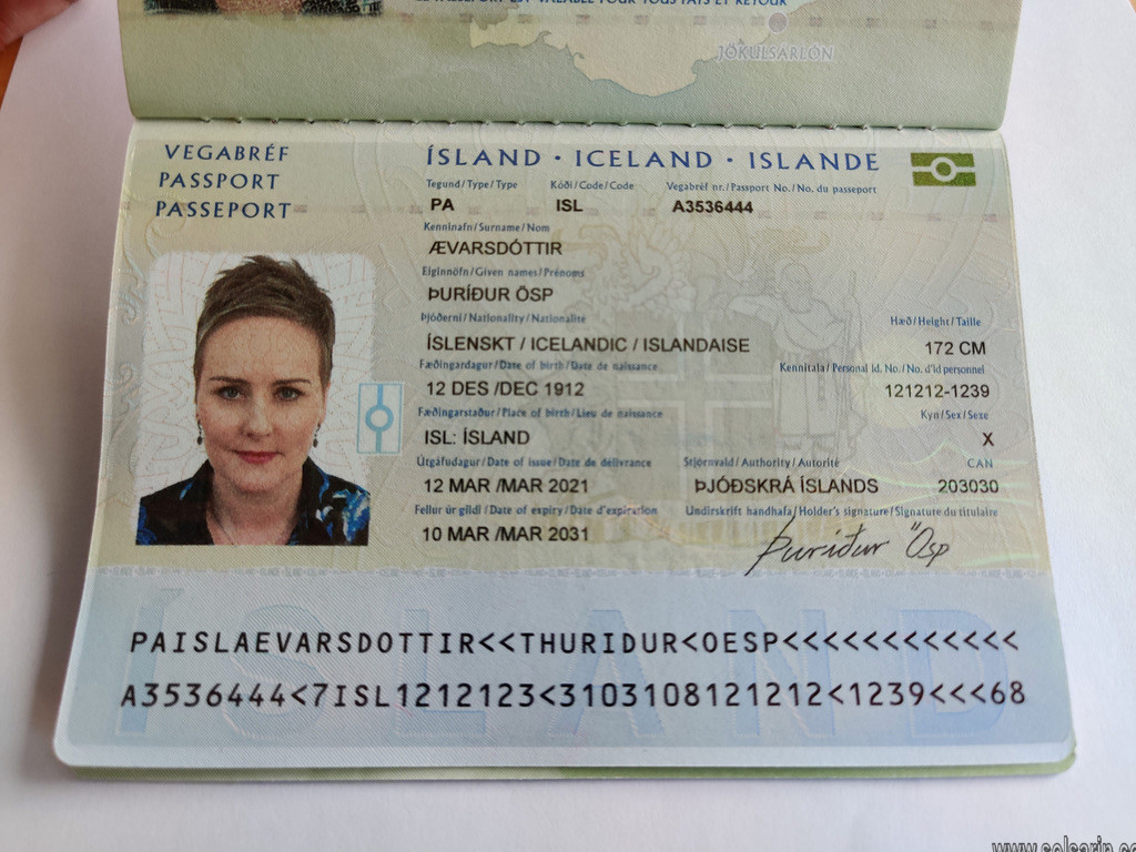 Visible mark passport