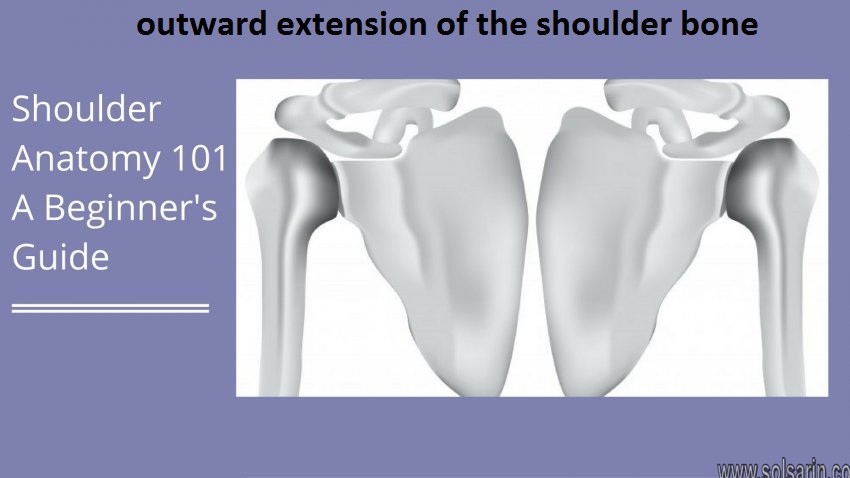outward extension of the shoulder bone
