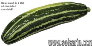 How much is 2 LBS of shredded zucchini