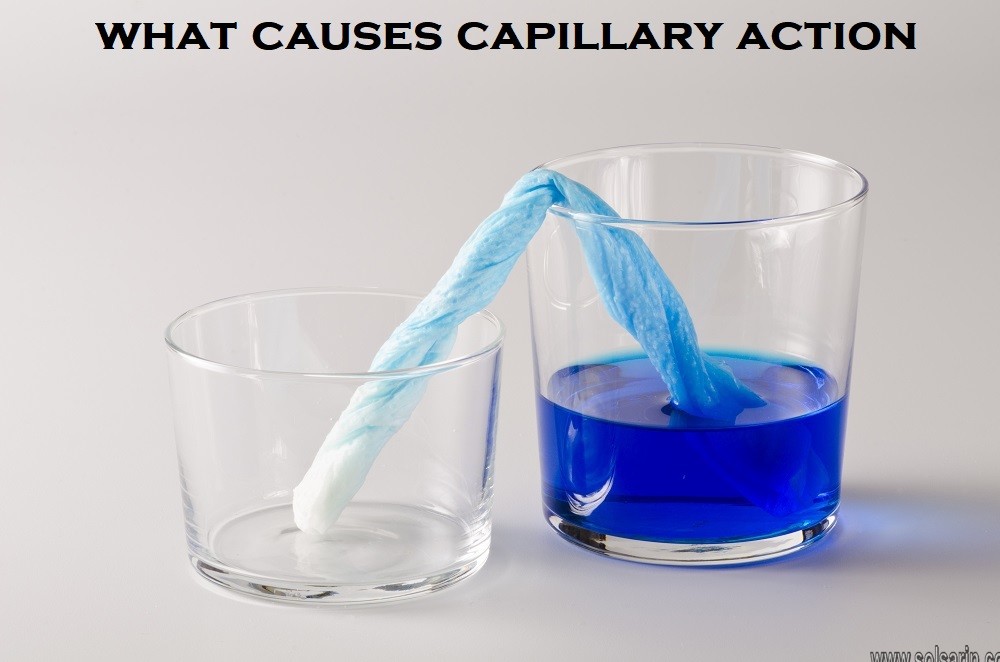 what causes capillary action