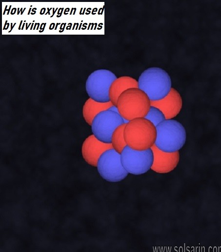 How is oxygen used by living organisms