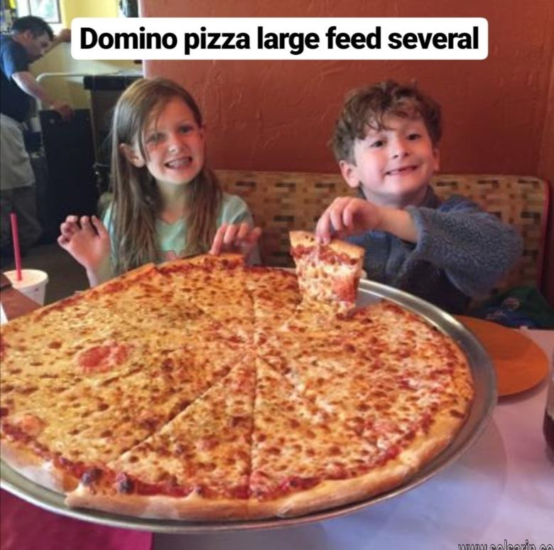 Domino pizza large feed several