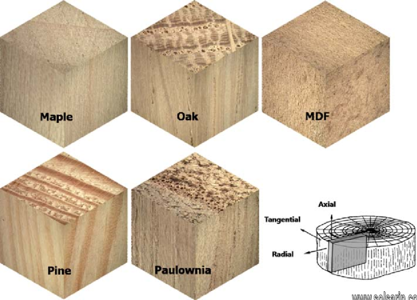 is maple a hardwood or softwood