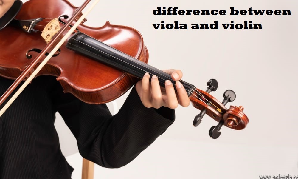 difference between viola and violin
