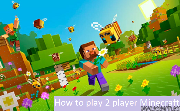 How to play 2 player Minecraft