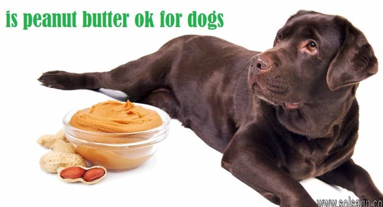 is peanut butter ok for dogs